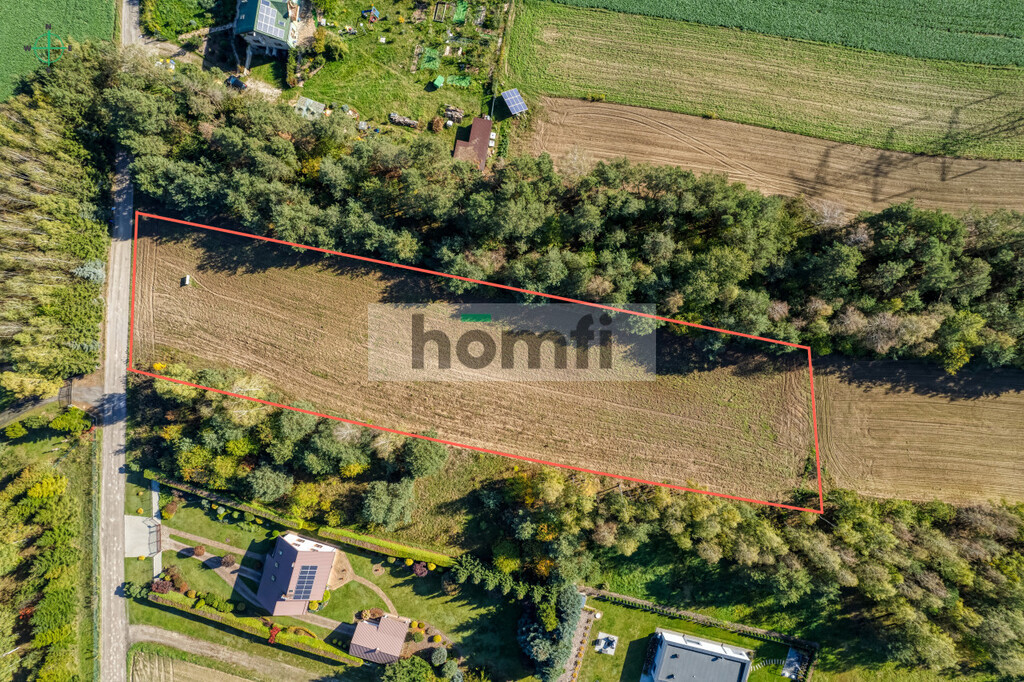 Działka budowlana 4100 m², Brzeziny - zdjęcie 9