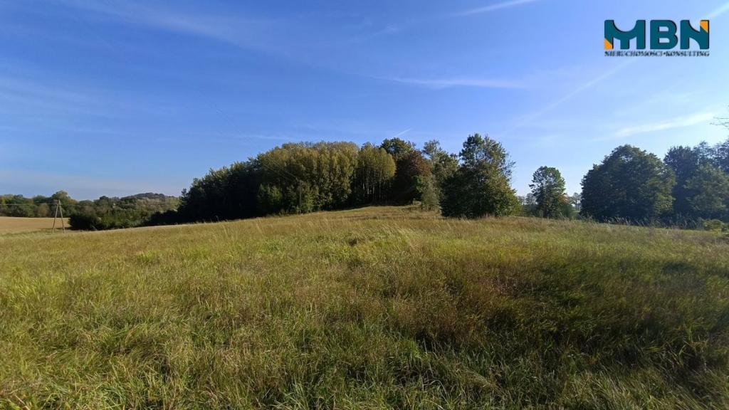 Działka rolna 5757&nbsp;m², Stawki - zdjęcie 7