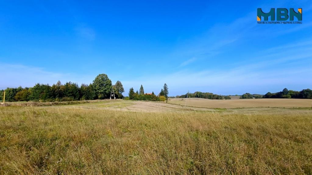 Działka rolna 5757&nbsp;m², Stawki - zdjęcie 8