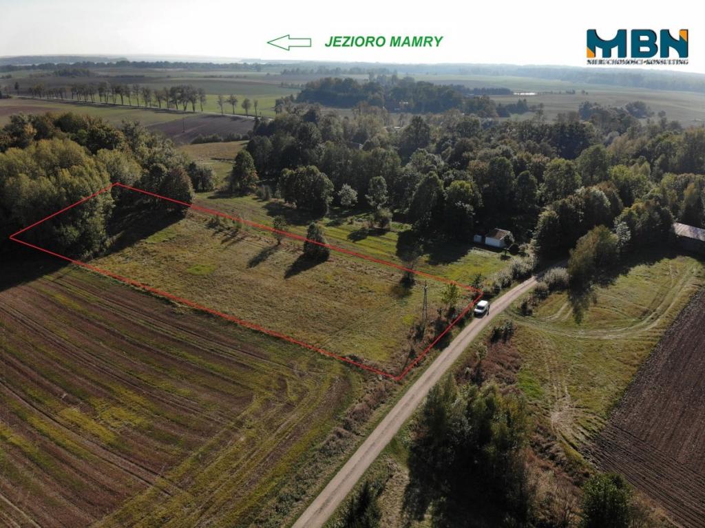 Działka rolna 5757&nbsp;m², Stawki - zdjęcie 5
