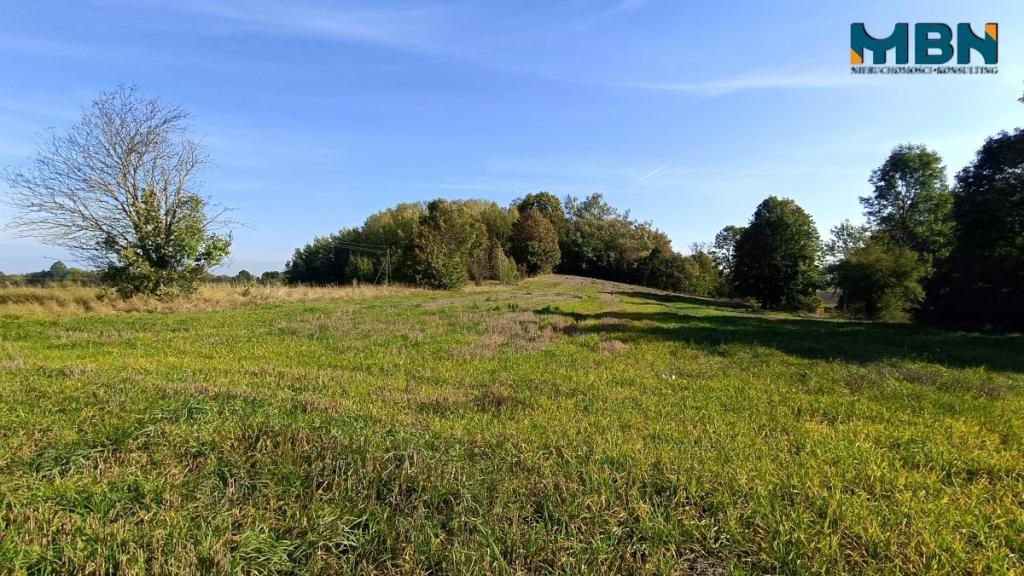 Działka rolna 5757&nbsp;m², Stawki - zdjęcie 6