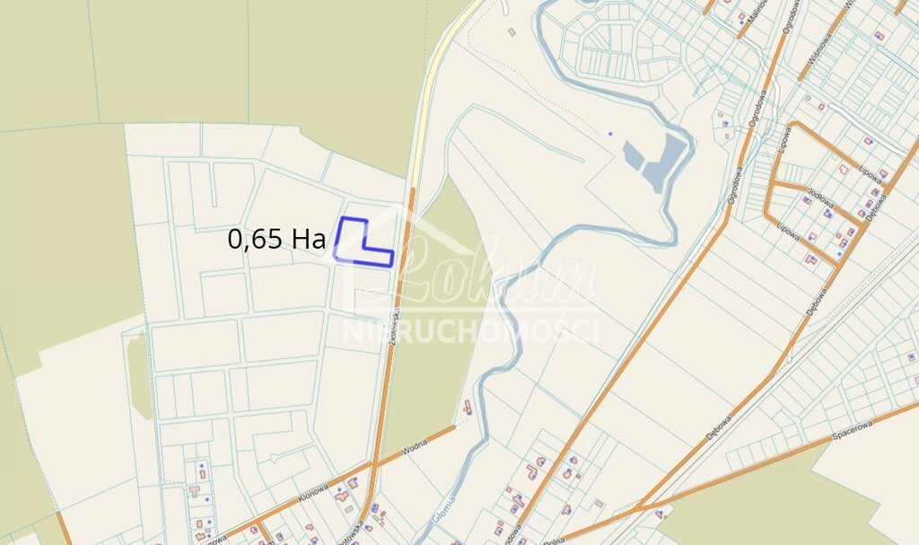 Działka rolna 1,05&nbsp;ha, Skórka - zdjęcie 4
