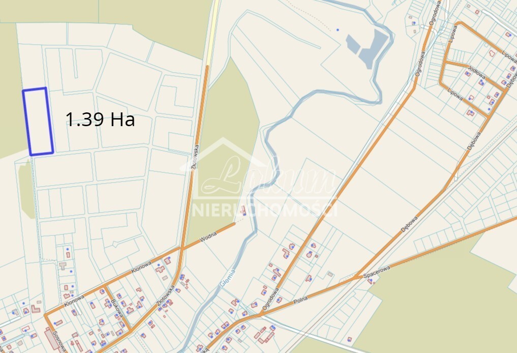 Działka rolna 1,05&nbsp;ha, Skórka - zdjęcie 7