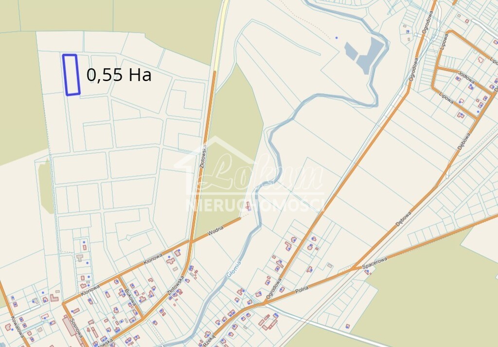 Działka rolna 1,05&nbsp;ha, Skórka - zdjęcie 6