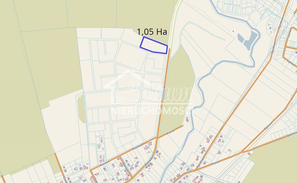 Działka rolna 1,05&nbsp;ha, Skórka - zdjęcie 3