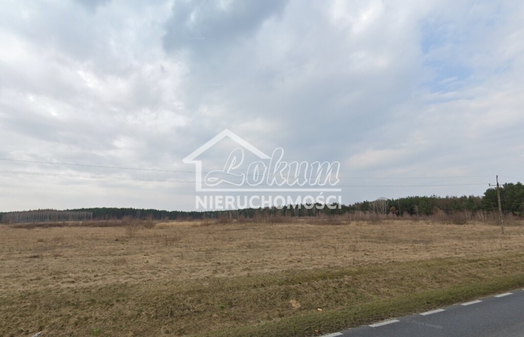 Działka rolna 1,05&nbsp;ha, Skórka - zdjęcie 1