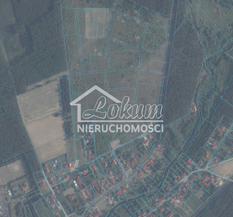 Działka rolna 1,05&nbsp;ha, Skórka - zdjęcie 8