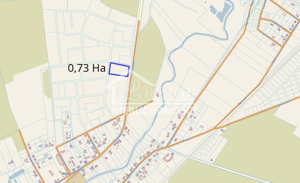 Działka rolna 1,05&nbsp;ha, Skórka - zdjęcie 5