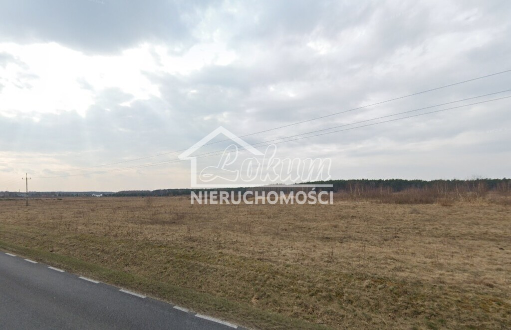 Działka rolna 1,05&nbsp;ha, Skórka - zdjęcie 2