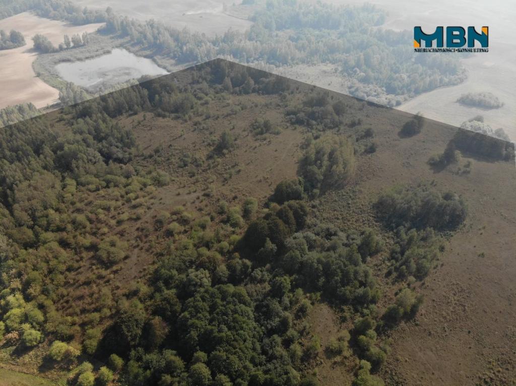 Działka rolna 20,45&nbsp;ha, Miłki - zdjęcie 8