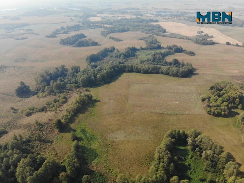 Działka rolna 20,45&nbsp;ha, Miłki - zdjęcie 9