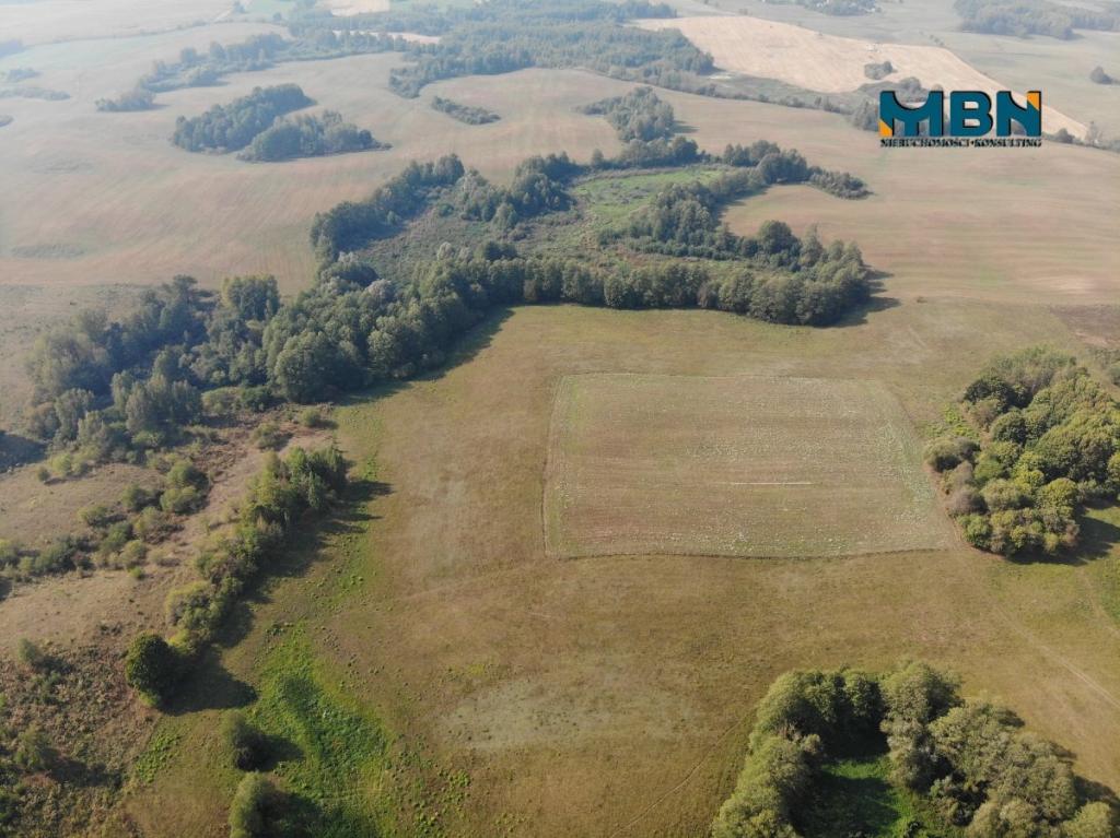 Działka rolna 20,45&nbsp;ha, Miłki - zdjęcie 10