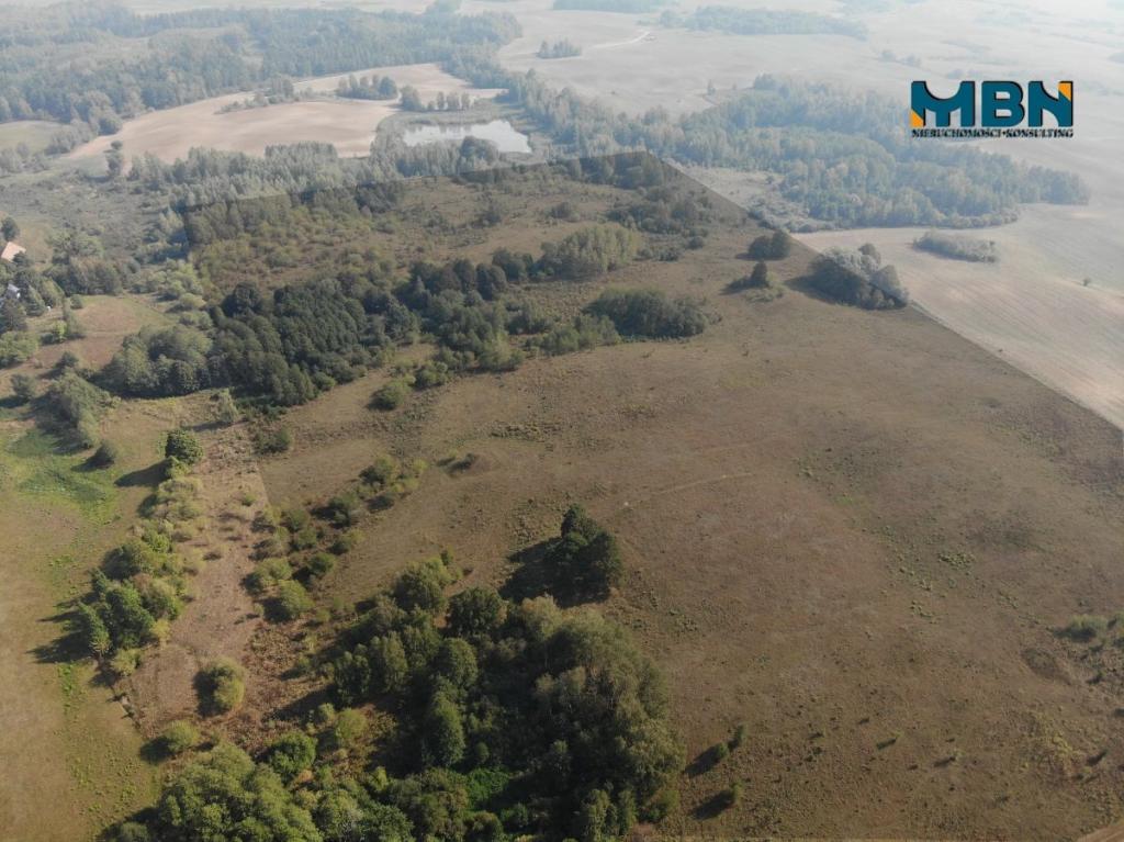 Działka rolna 20,45&nbsp;ha, Miłki - zdjęcie 6