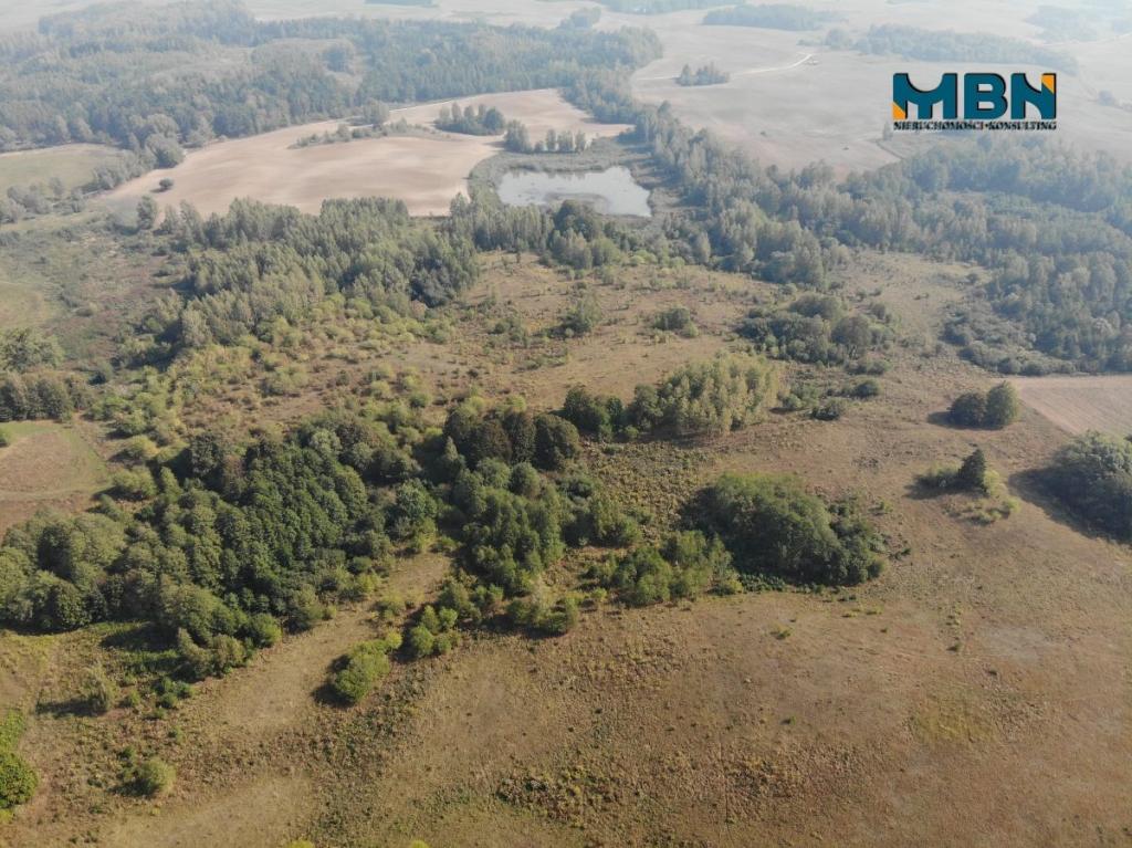 Działka rolna 20,45&nbsp;ha, Miłki - zdjęcie 7