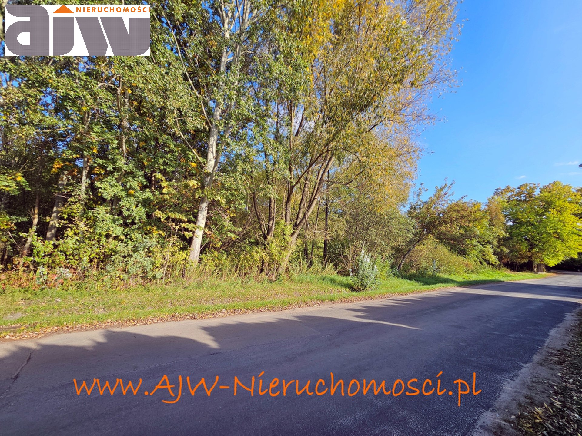 Grunt inwestycyjny 13,6 ha Laski, gmina Izabelin - zdjęcie 3