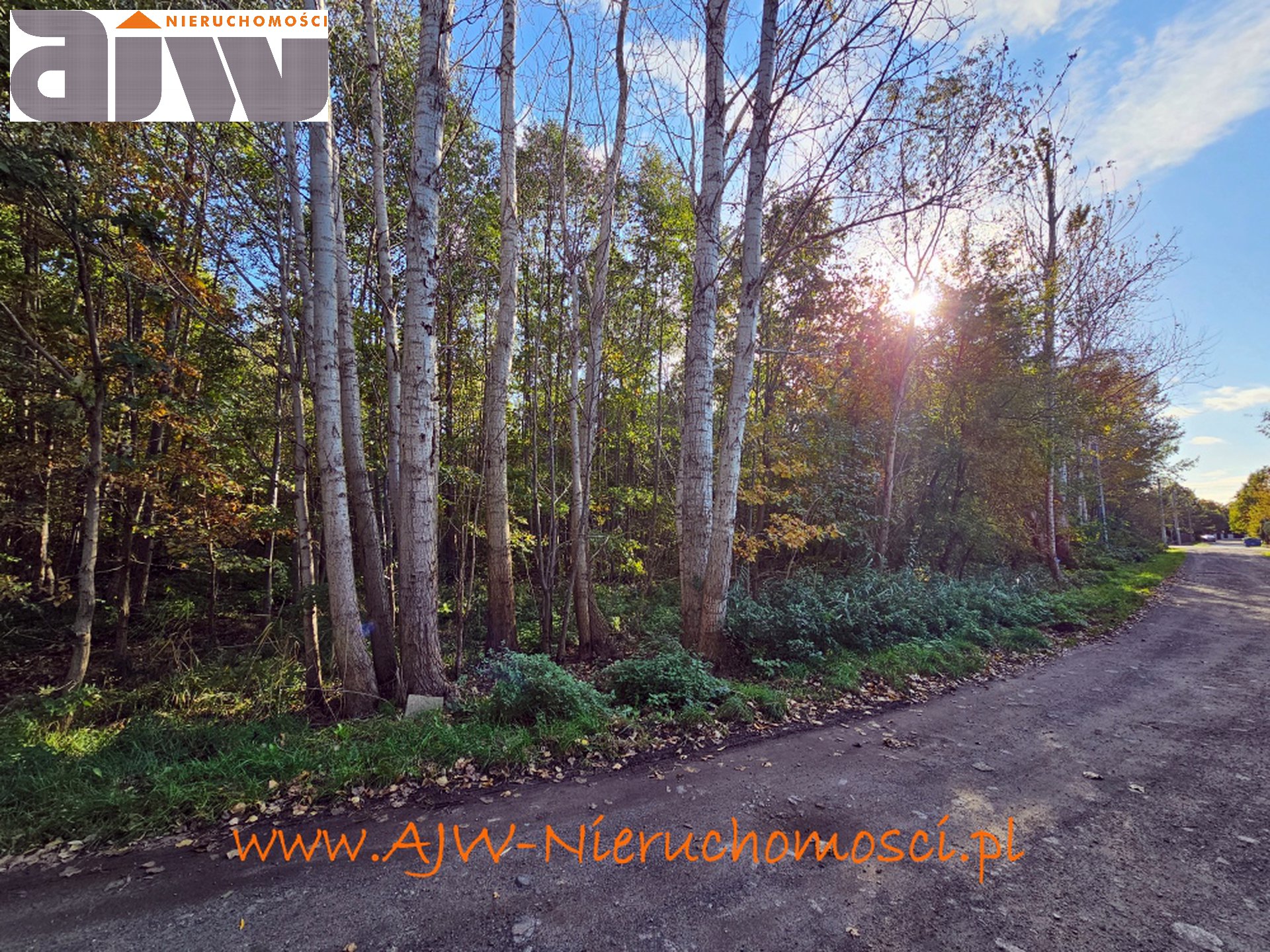 Grunt inwestycyjny 13,6 ha Laski, gmina Izabelin - zdjęcie 4