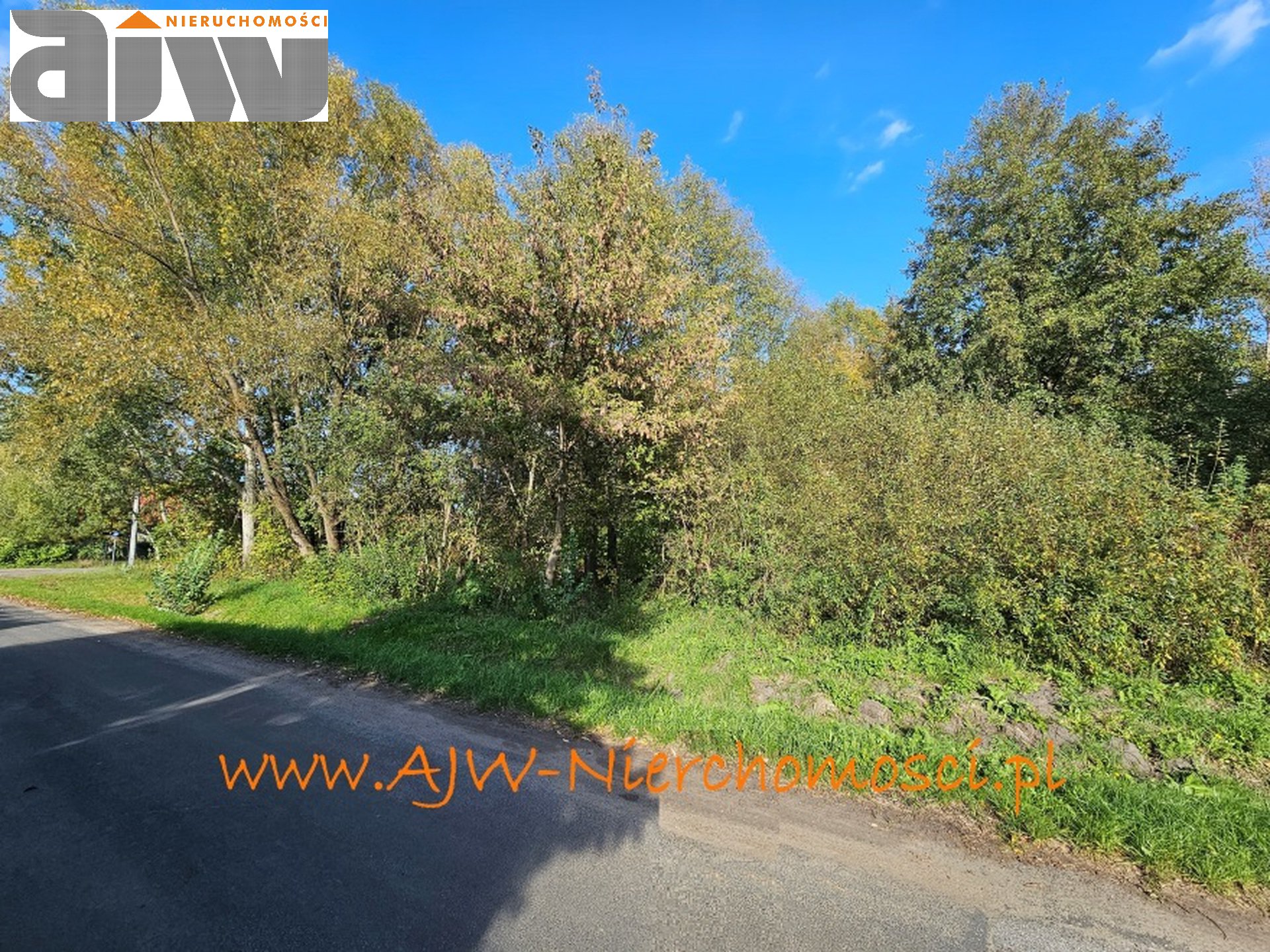 Grunt inwestycyjny 13,6 ha Laski, gmina Izabelin - zdjęcie 1