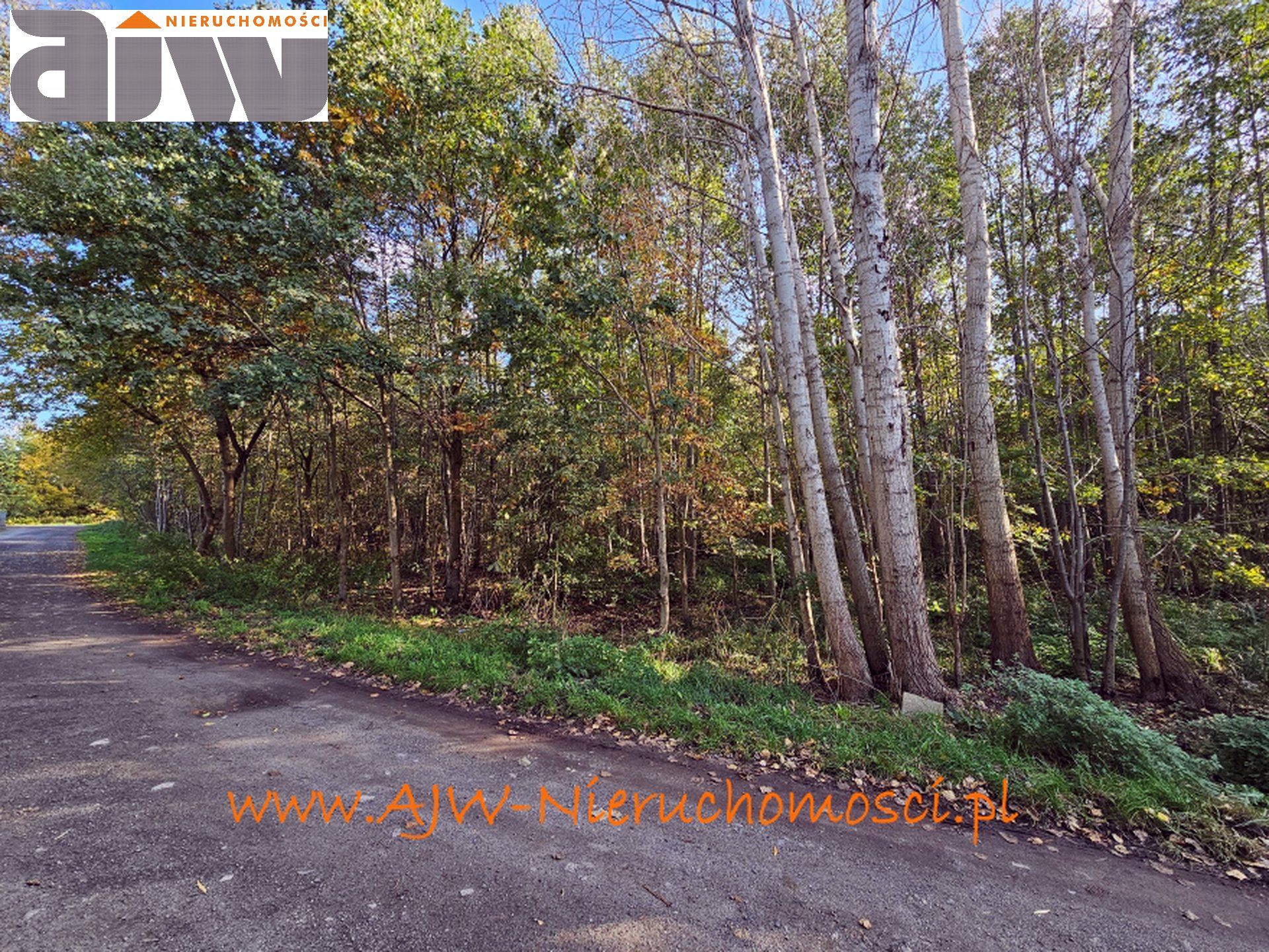 Grunt inwestycyjny 13,6 ha Laski, gmina Izabelin - zdjęcie 6