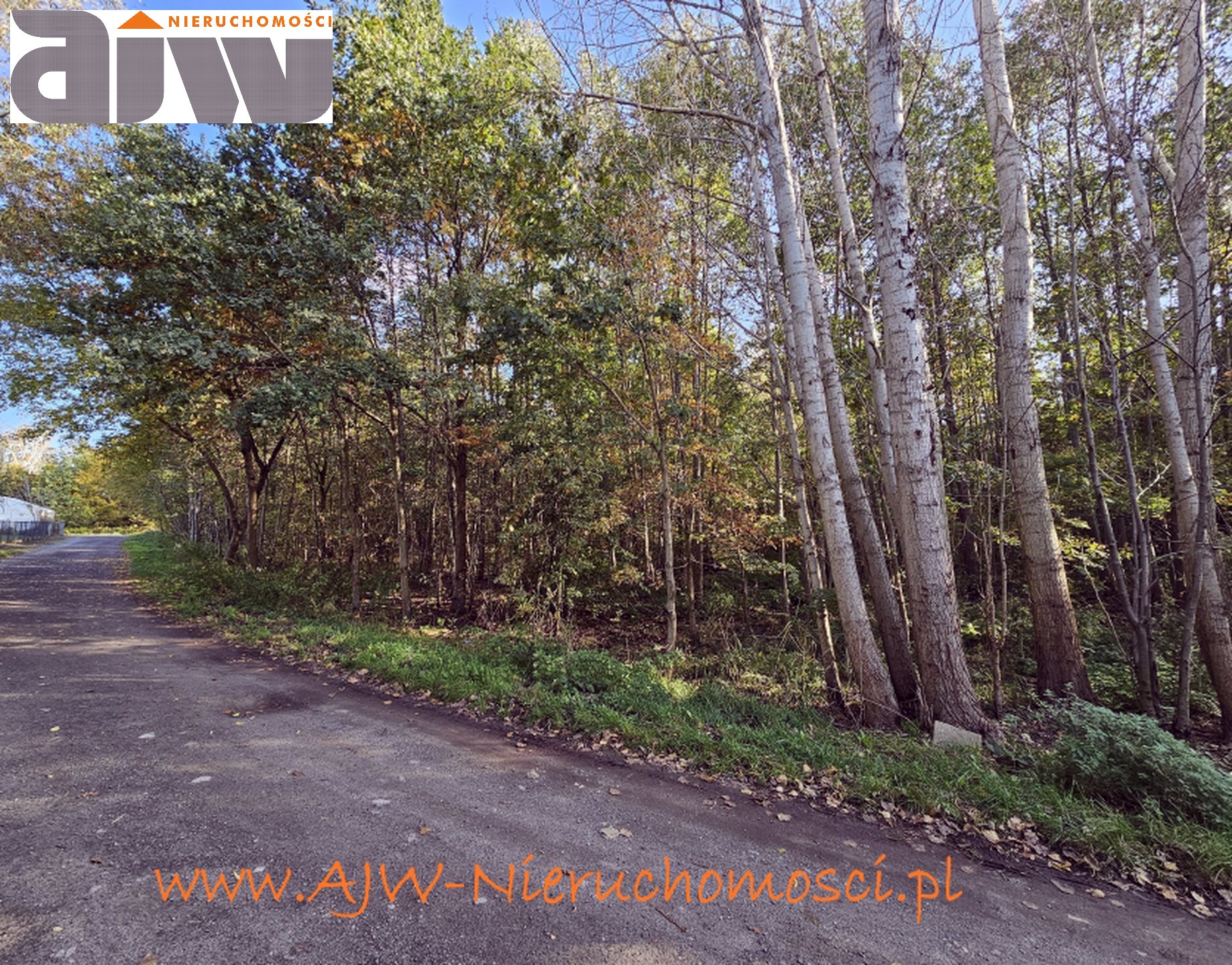 Grunt inwestycyjny 13,6 ha Laski, gmina Izabelin - zdjęcie 5