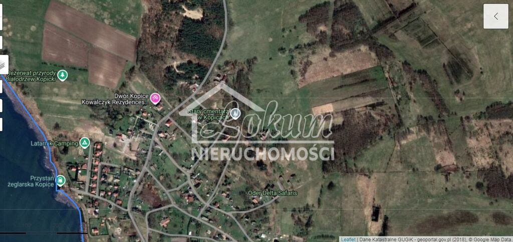 Działka rolna 1,99 ha, Kopice - zdjęcie 5