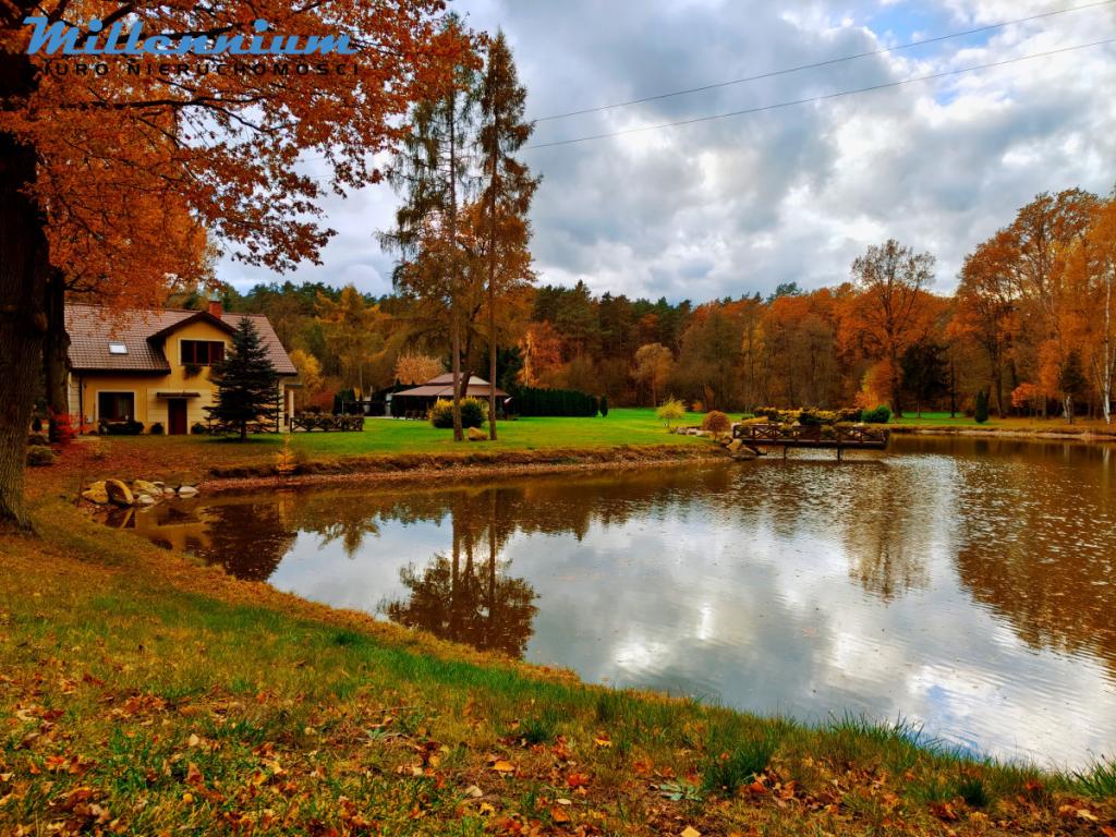 Rezydencja, staw, rzeka w Sercu Natury pod Łodzią - zdjęcie 27