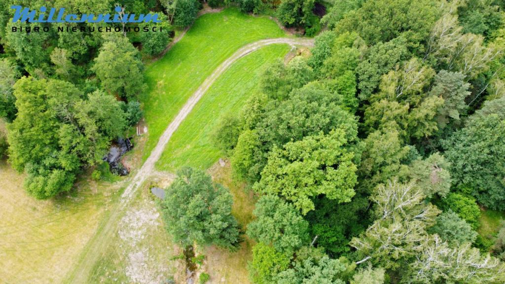 Rezydencja, staw, rzeka w Sercu Natury pod Łodzią - zdjęcie 10