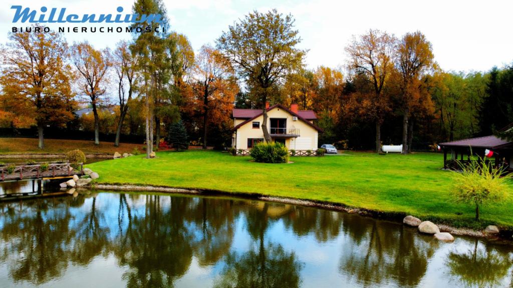 Rezydencja, staw, rzeka w Sercu Natury pod Łodzią - zdjęcie 7
