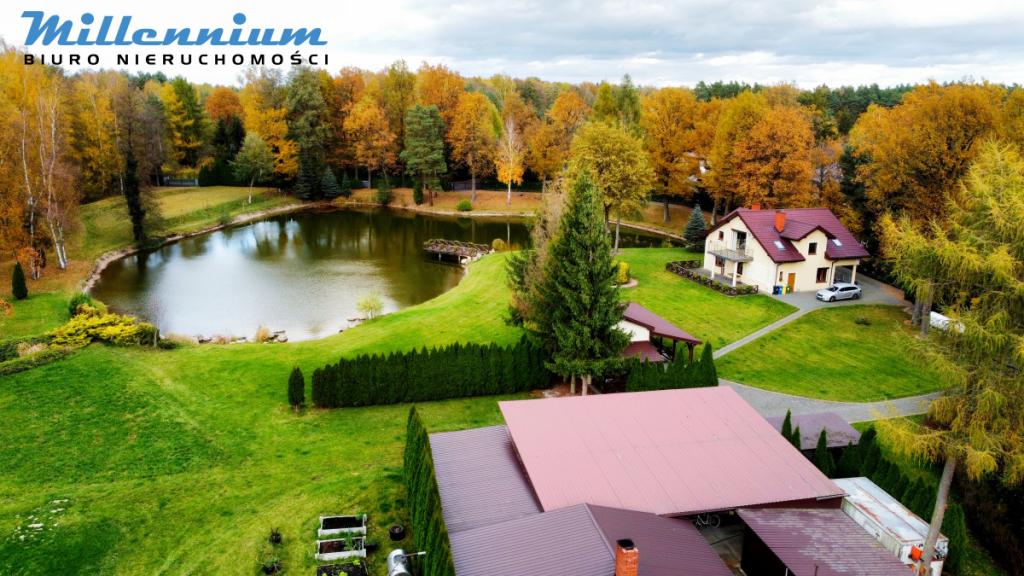 Rezydencja, staw, rzeka w Sercu Natury pod Łodzią - zdjęcie 13