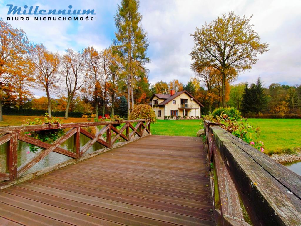 Rezydencja, staw, rzeka w Sercu Natury pod Łodzią - zdjęcie 28