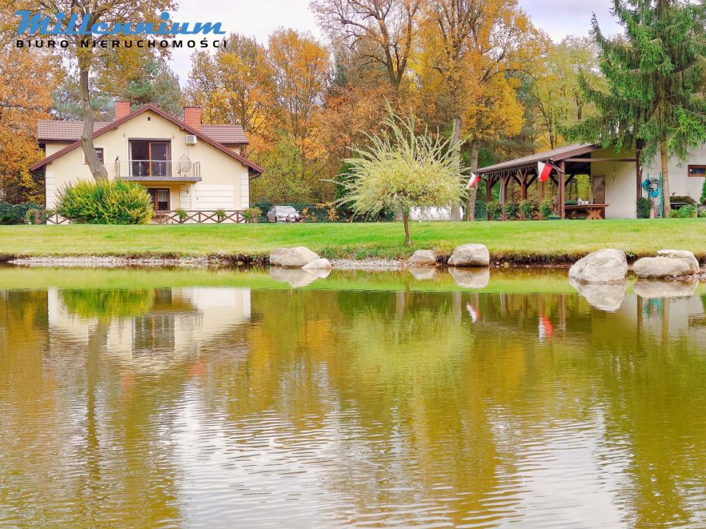 Rezydencja, staw, rzeka w Sercu Natury pod Łodzią - zdjęcie 29