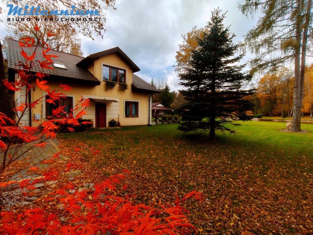 Rezydencja, staw, rzeka w Sercu Natury pod Łodzią - zdjęcie 25