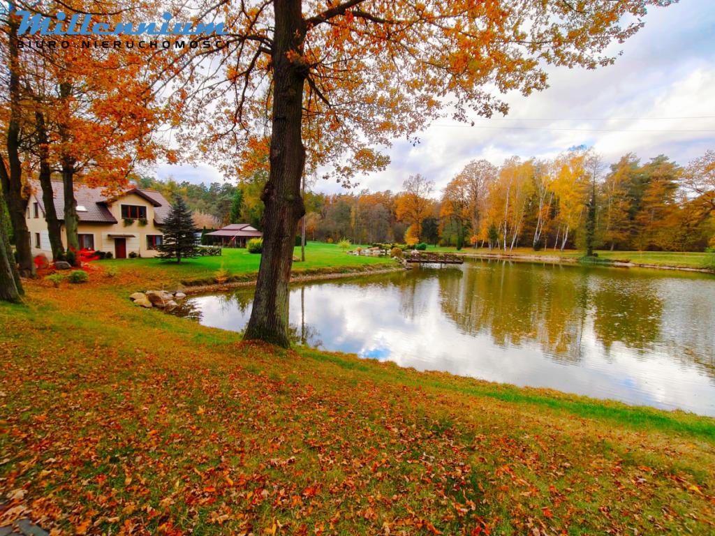 Rezydencja, staw, rzeka w Sercu Natury pod Łodzią - zdjęcie 26
