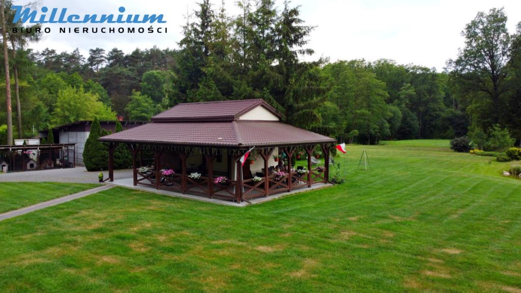 Rezydencja, staw, rzeka w Sercu Natury pod Łodzią - zdjęcie 9