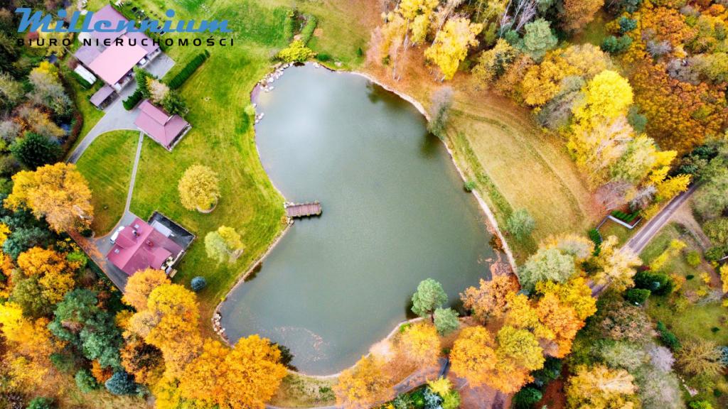 Rezydencja, staw, rzeka w Sercu Natury pod Łodzią - zdjęcie 1