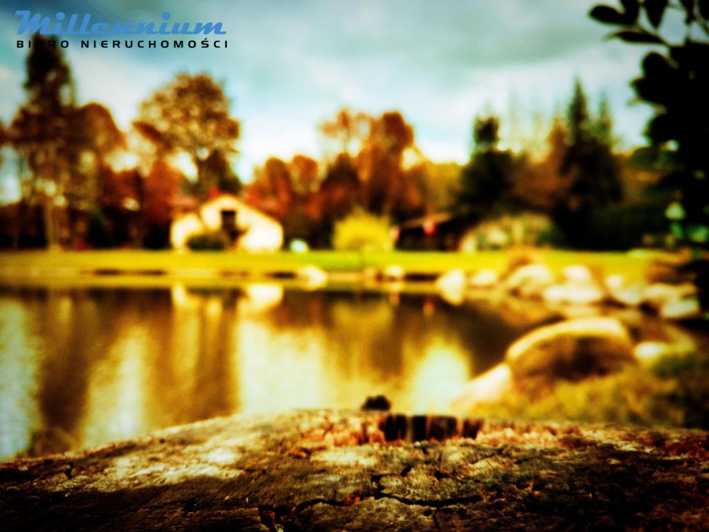 Rezydencja, staw, rzeka w Sercu Natury pod Łodzią - zdjęcie 24