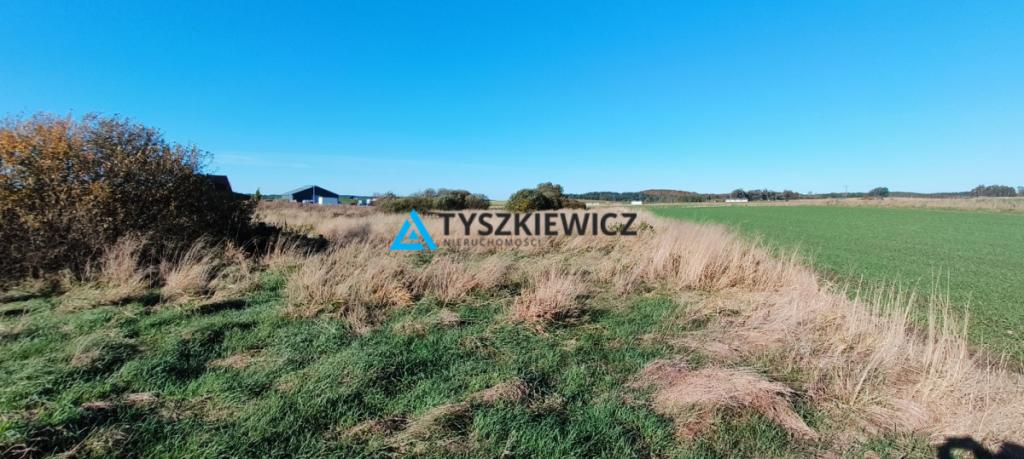 Działka budowlana w Borzytuchomiu - zdjęcie 1