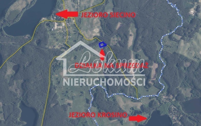 Działka rolna 9100&nbsp;m², Cieszyno - zdjęcie 1