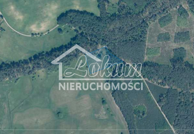 Działka rolna 9100 m², Cieszyno - zdjęcie 3
