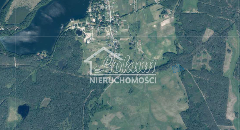 Działka rolna 9100 m², Cieszyno - zdjęcie 2