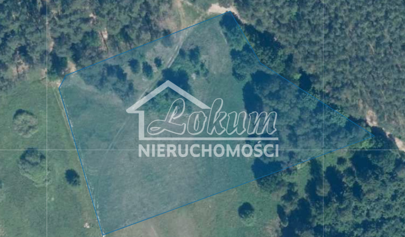 Działka rolna 9100 m², Cieszyno - zdjęcie 1