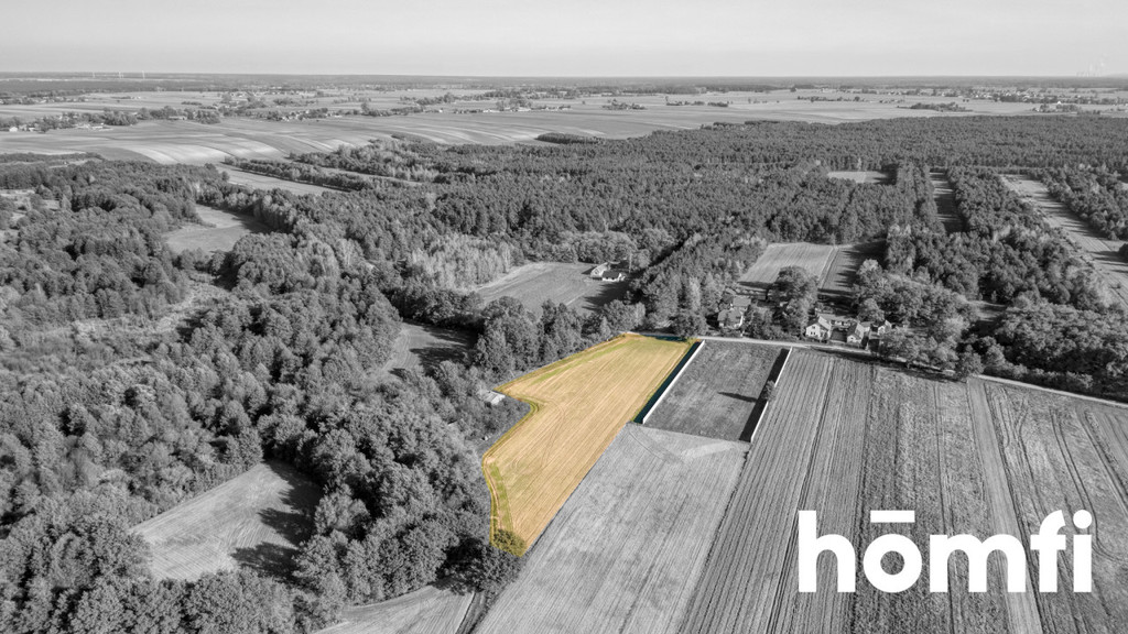 Działka budowlana 2600&nbsp;m², Siemiechów - zdjęcie 7