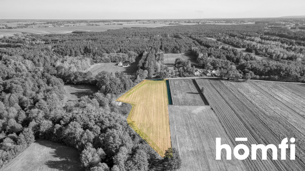 Działka budowlana 2600&nbsp;m², Siemiechów - zdjęcie 2