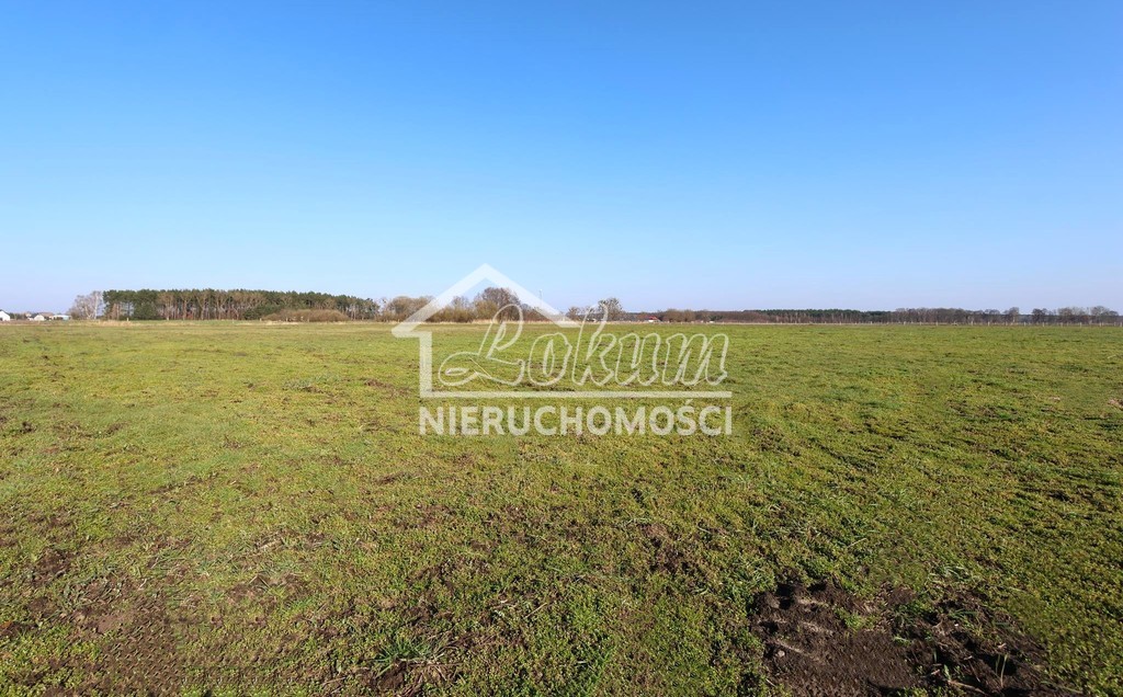 Działka budowlana 3000&nbsp;m², Lubczyna - zdjęcie 3
