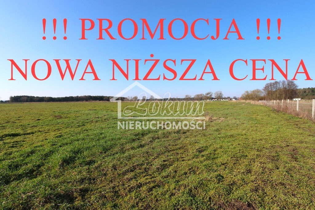 Działka budowlana 3000 m², Lubczyna - zdjęcie 1