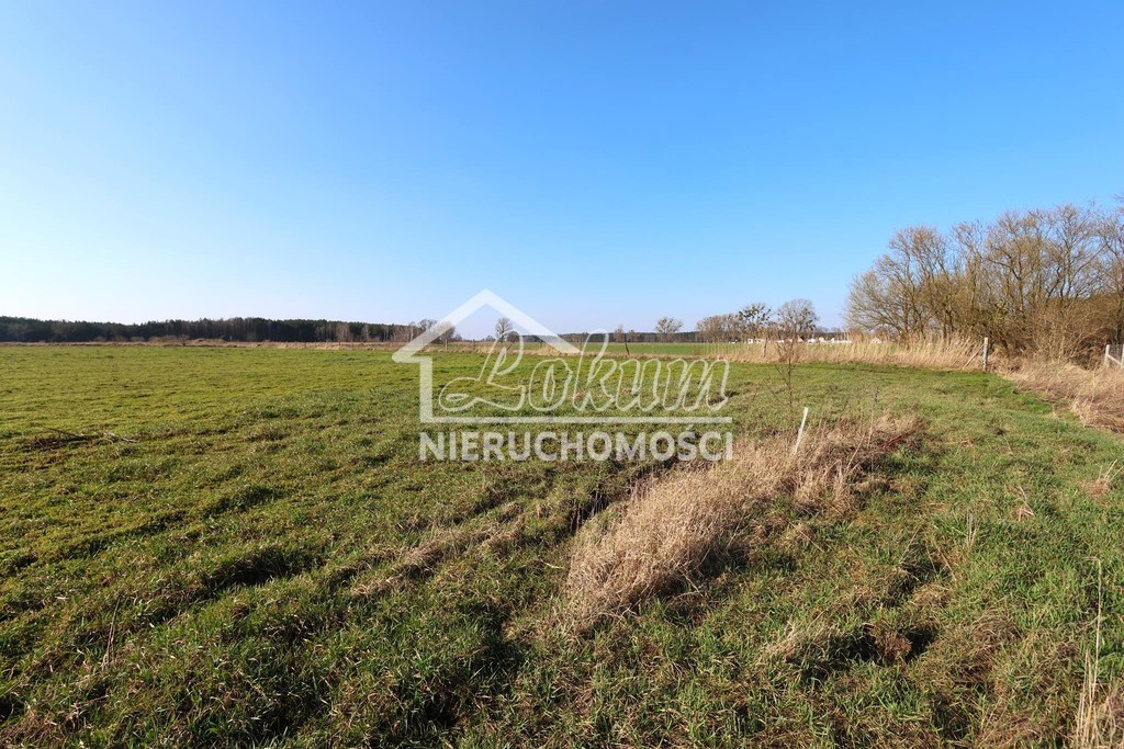 Działka budowlana 3000&nbsp;m², Lubczyna - zdjęcie 6