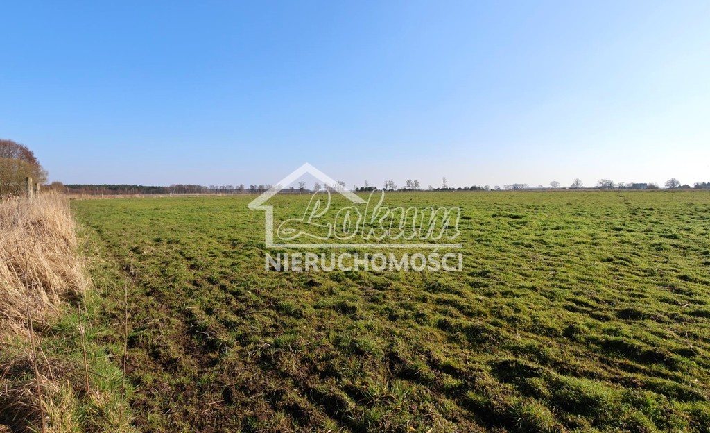 Działka budowlana 3000&nbsp;m², Lubczyna - zdjęcie 5