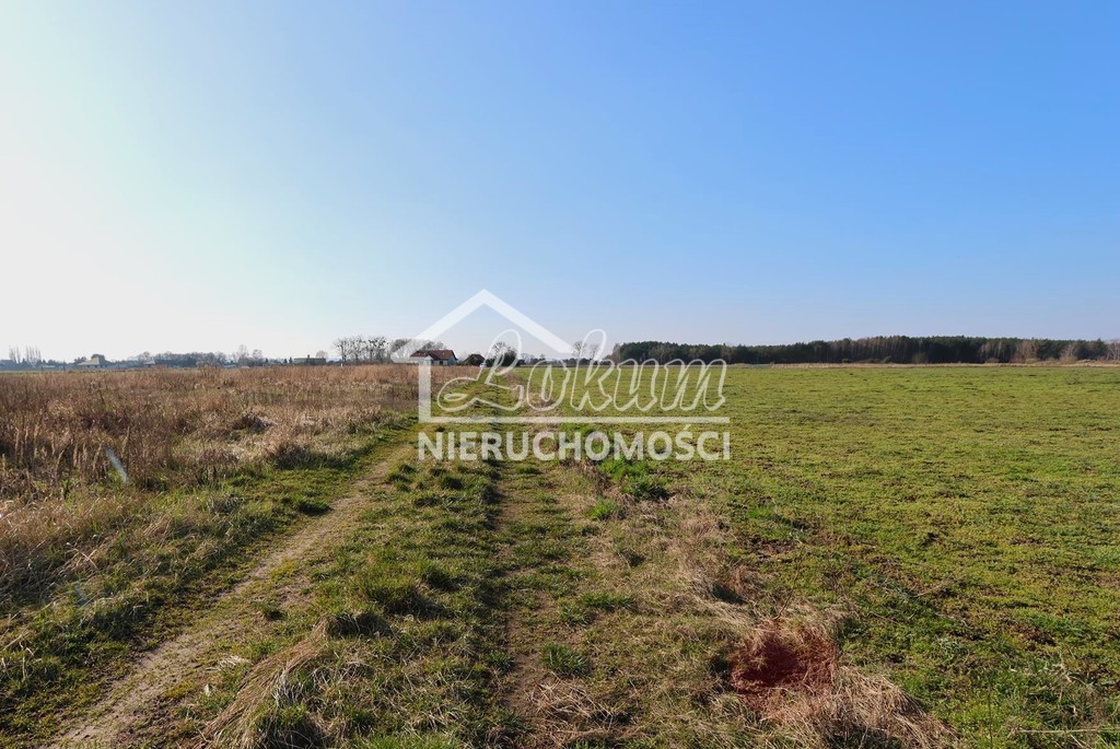 Działka budowlana 3000&nbsp;m², Lubczyna - zdjęcie 8