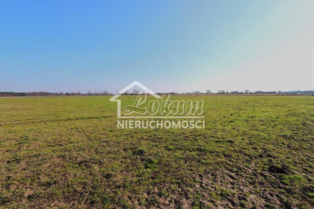 Działka budowlana 3000&nbsp;m², Lubczyna - zdjęcie 4