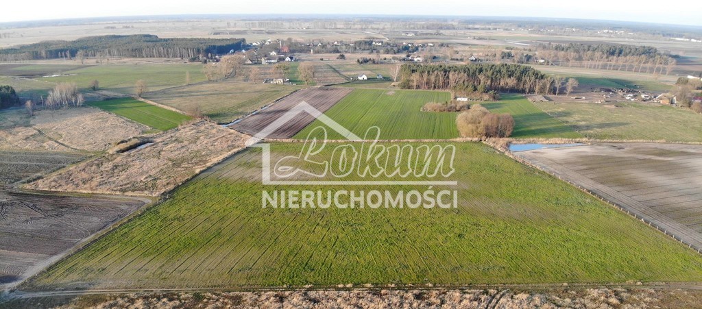Działka budowlana 3000&nbsp;m², Lubczyna - zdjęcie 2