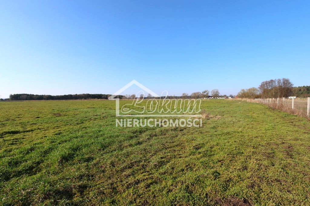 Działka budowlana 3000&nbsp;m², Lubczyna - zdjęcie 1